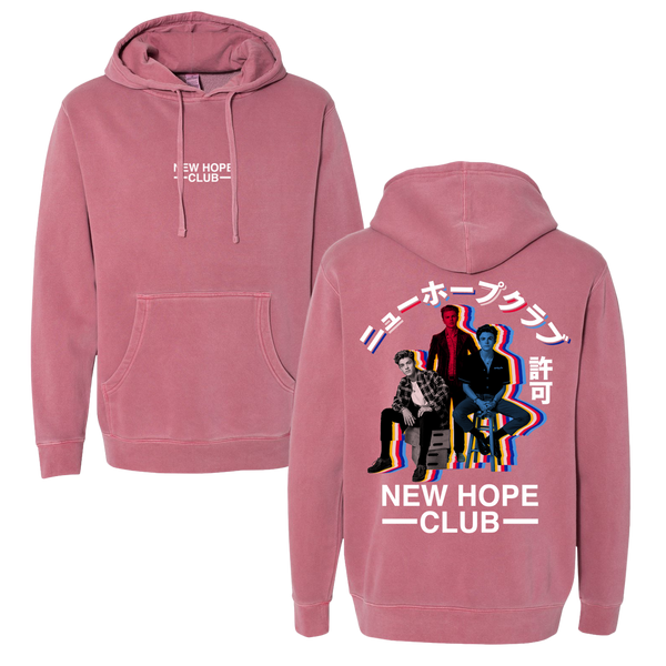 STRIPES PHOTO HOODIE